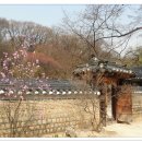 비-원 이미지