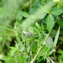 하루산책 이미지