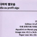 색채의 마술사, 앙리 마티스의 혁신적인 컷아웃 여정 - 150주년 특별전 현장 스케치