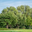 장자호수공원 이미지