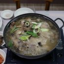 창녕생오리 티스토리