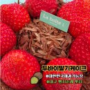 범물어린이공원 | 대구 수성구 케이크 맛집 라부아뜨엘 두바이딸기케이크 생일케익 후기