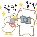 샘머리2단지 이미지