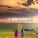 동행 이미지