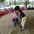 위성초교 이미지