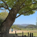 한일지물포 이미지