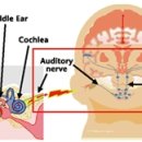청성한의원 이미지