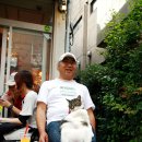 뚱보 고양이 이미지