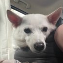 해남베스트펜션 이미지