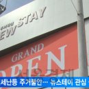 올스테이인 이미지