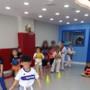 성산태권도 이미지