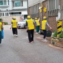참판골 봉사단 마을 환경정화에 앞장서다 이미지