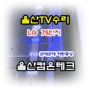 파란테크 | LG 75UM6970PUB 화면 얼룩 및 파란화면 증상 수리 후기 | 울산 남구 두왕동 TV 수리