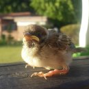 아기새어린이집 이미지