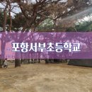 흥해서부초등학교 이미지