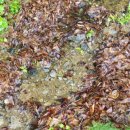 군민체육공원화장실 이미지