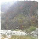 삼경수지 이미지