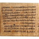 파피루스(Papyrus)