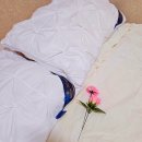 송림세탁 이미지