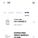 현대야채 이미지