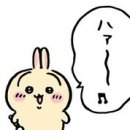 슬립랜드