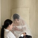 로단테(Rhodanthe) | 필름감성 웨딩촬영, 로단테 스냅 후기