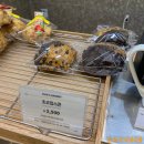 &lt;제주맛집&gt; 유미카츠 신제주점 + 빽다방베이커리 솔직후기