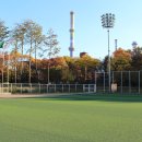 마들스타디움 이미지