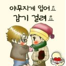 샤이니모터스