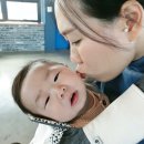 콤포스텔라별들의들판 이미지