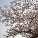 메카솔라 태양광발전소 이미지