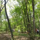 용모농장 이미지