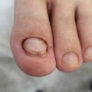 레푸스 연산시청점