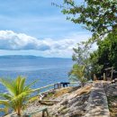 스노클링 | 보홀 나팔링 현지투어 정어리떼 스노클링 후기