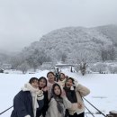 부산대학교 이미지