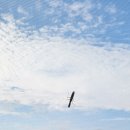 우리마트 문산점 네이버블로그
