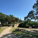 소울복싱 | [호주/시드니] Shelly Beach 찍고 NICHI GETSU DO에서 인생 라멘 먹기_1일차