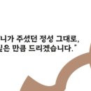 쌈쟁이 이미지