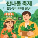 한숲 물내음 어린이공원 | 나물향 따라! 강원도 산나물 축제 한눈에