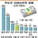 外貨 활용 해외투자 전담 '한국투자廳'만든다 이미지