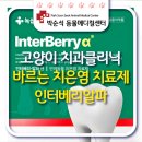 박순석동물메디컬센터 이미지