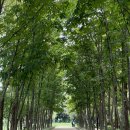 천년나무작은도서관 | 경주 힐링 플레이스! APEC 가볼만한 곳 경북천년숲정원 감동추천