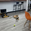 올레스포츠 - 구례군 봉성로 95-1 | 올레스포츠