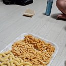 그리너리문팬션 이미지