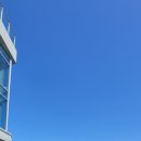 마소마레 이미지