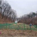 송전1리 이미지