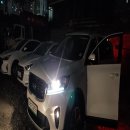 그린카마스타 이미지