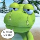 콘서트 보러 인천 외딴섬까지 가는 것, 이게 사랑이야. (3)