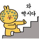 동주대학부설어린이집 이미지