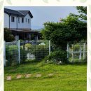 고양이 별 | 익산유기묘보호소 고양이별의 집사 간택 후기